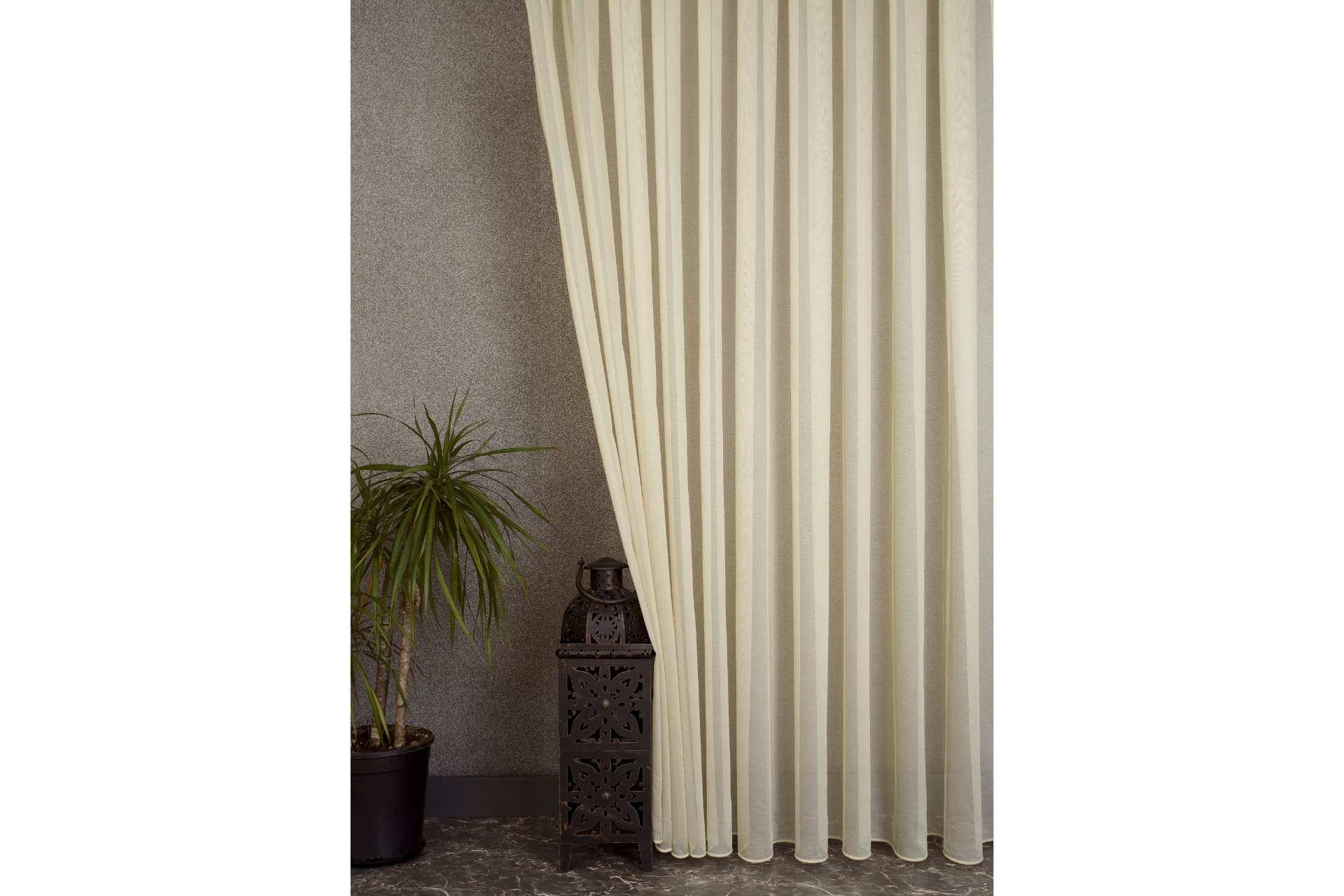 MASSARELLİ ETAMİN TÜL ŞAMPANYA RENGİ PİLESİZ 200X260